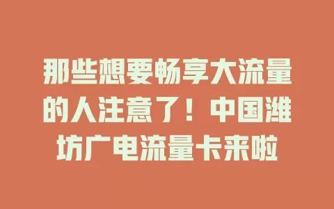 那些想要畅享大流量的人注意了！中国潍坊广电流量卡来啦