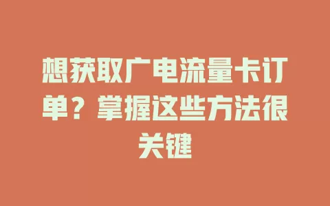 想获取广电流量卡订单？掌握这些方法很关键