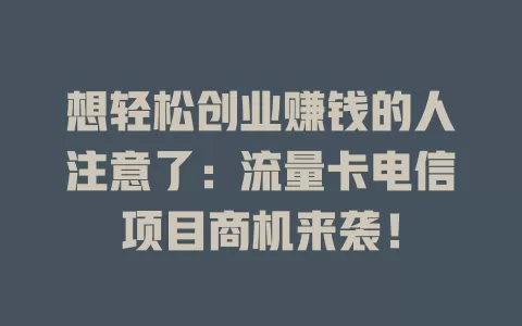 想轻松创业赚钱的人注意了：流量卡电信项目商机来袭！