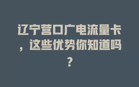 辽宁营口广电流量卡，这些优势你知道吗？