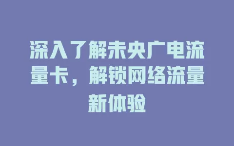 深入了解未央广电流量卡，解锁网络流量新体验