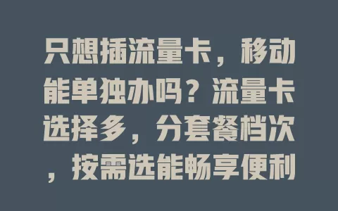 只想插流量卡，移动能单独办吗？流量卡选择多，分套餐档次，按需选能畅享便利，但选时要留意有效期、收费标准等细节