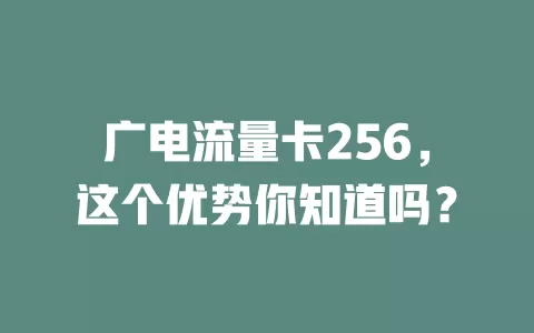 广电流量卡256，这个优势你知道吗？