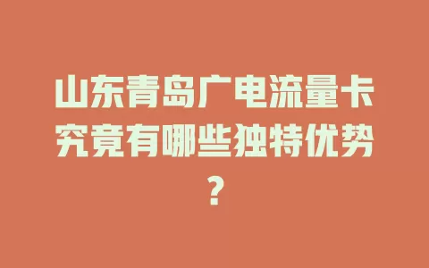 山东青岛广电流量卡究竟有哪些独特优势？