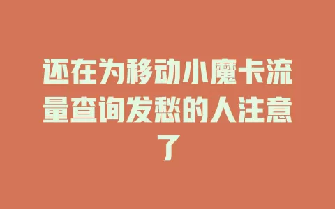还在为移动小魔卡流量查询发愁的人注意了