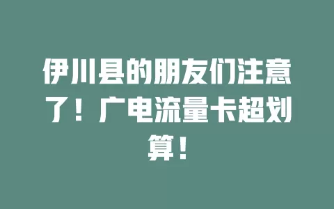 伊川县的朋友们注意了！广电流量卡超划算！