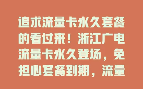 追求流量卡永久套餐的看过来！浙江广电流量卡永久登场，免担心套餐到期，流量足、网络稳、资费优，是流量需求者理想之选