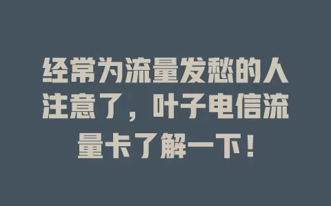 经常为流量发愁的人注意了，叶子电信流量卡了解一下！