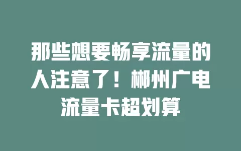 那些想要畅享流量的人注意了！郴州广电流量卡超划算
