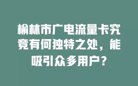 榆林市广电流量卡究竟有何独特之处，能吸引众多用户？