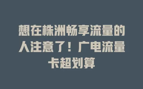 想在株洲畅享流量的人注意了！广电流量卡超划算