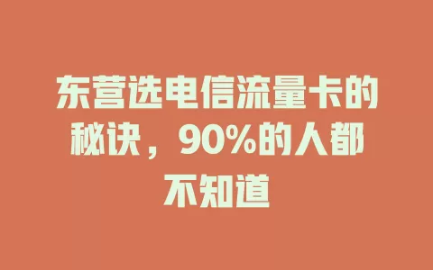 东营选电信流量卡的秘诀，90%的人都不知道