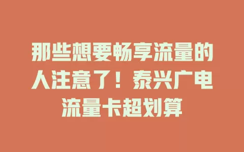 那些想要畅享流量的人注意了！泰兴广电流量卡超划算