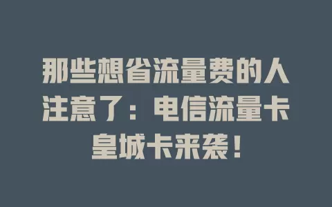 那些想省流量费的人注意了：电信流量卡皇城卡来袭！