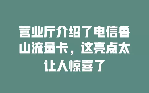 营业厅介绍了电信鲁山流量卡，这亮点太让人惊喜了