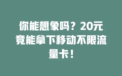 你能想象吗？20元竟能拿下移动不限流量卡！