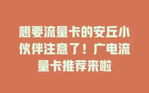 想要流量卡的安丘小伙伴注意了！广电流量卡推荐来啦