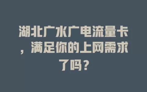 湖北广水广电流量卡，满足你的上网需求了吗？