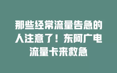 那些经常流量告急的人注意了！东阿广电流量卡来救急