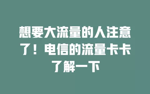 想要大流量的人注意了！电信的流量卡卡了解一下