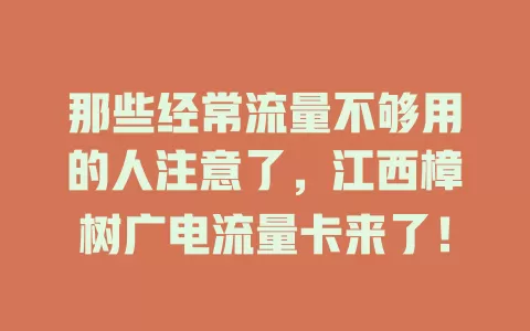 那些经常流量不够用的人注意了，江西樟树广电流量卡来了！