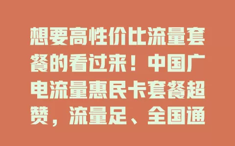 想要高性价比流量套餐的看过来！中国广电流量惠民卡套餐超赞，流量足、全国通用，价格亲民，服务还好，畅享移动互联网魅力就选它！