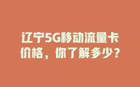 辽宁5G移动流量卡价格，你了解多少？