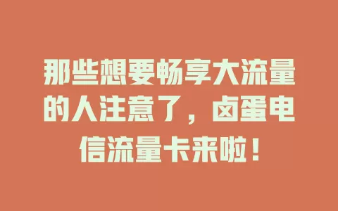 那些想要畅享大流量的人注意了，卤蛋电信流量卡来啦！