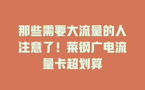 那些需要大流量的人注意了！莱钢广电流量卡超划算