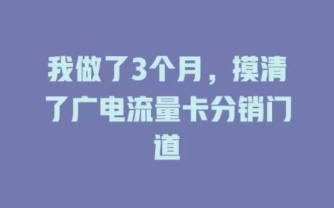 我做了3个月，摸清了广电流量卡分销门道
