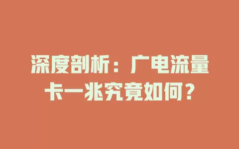 深度剖析：广电流量卡一兆究竟如何？
