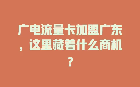 广电流量卡加盟广东，这里藏着什么商机？