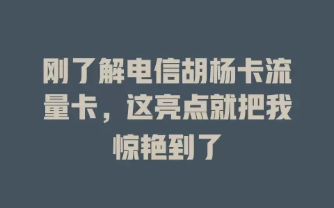 刚了解电信胡杨卡流量卡，这亮点就把我惊艳到了