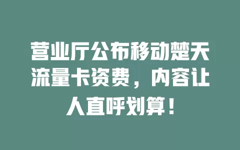 营业厅公布移动楚天流量卡资费，内容让人直呼划算！