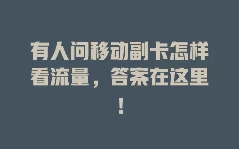 有人问移动副卡怎样看流量，答案在这里！