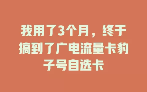 我用了3个月，终于搞到了广电流量卡豹子号自选卡