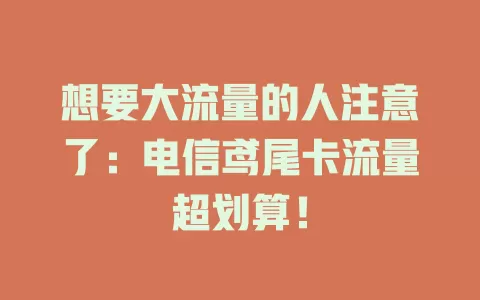 想要大流量的人注意了：电信鸢尾卡流量超划算！