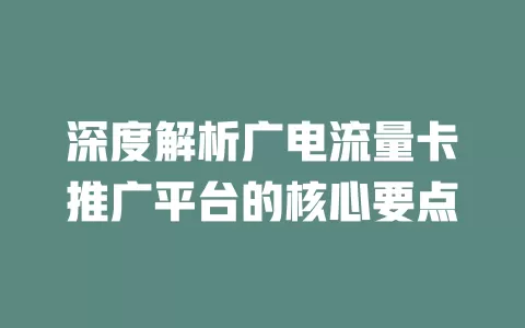 深度解析广电流量卡推广平台的核心要点