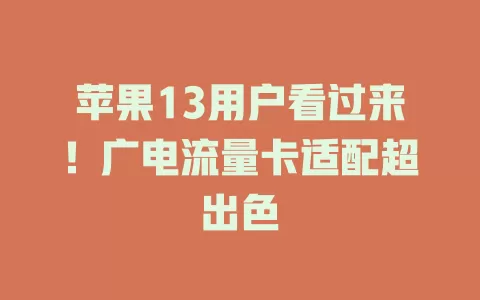 苹果13用户看过来！广电流量卡适配超出色