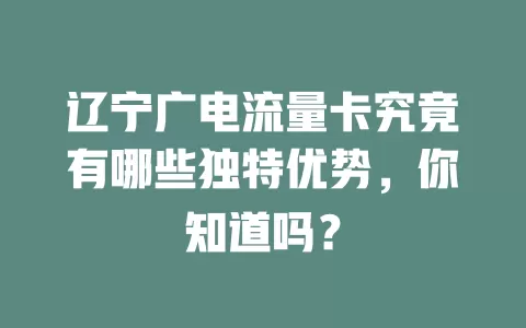 辽宁广电流量卡究竟有哪些独特优势，你知道吗？