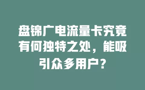 盘锦广电流量卡究竟有何独特之处，能吸引众多用户？