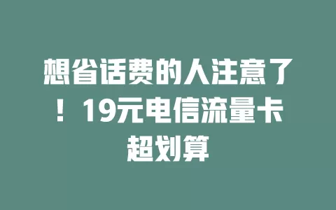 想省话费的人注意了！19元电信流量卡超划算