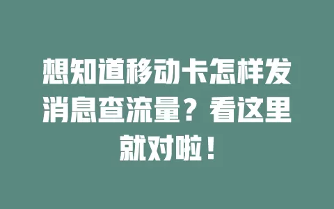想知道移动卡怎样发消息查流量？看这里就对啦！