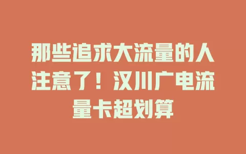 那些追求大流量的人注意了！汉川广电流量卡超划算