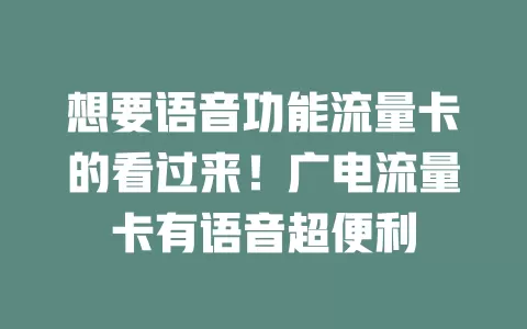 想要语音功能流量卡的看过来！广电流量卡有语音超便利