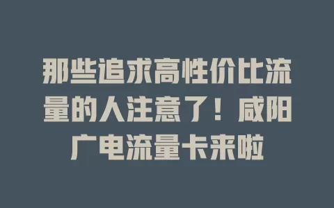 那些追求高性价比流量的人注意了！咸阳广电流量卡来啦