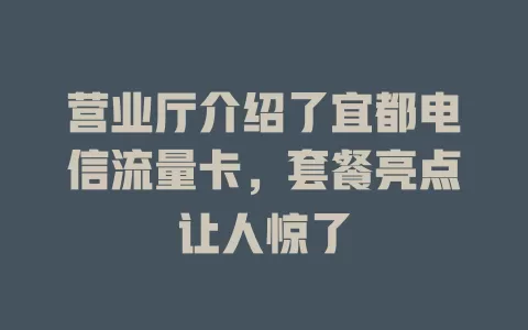 营业厅介绍了宜都电信流量卡，套餐亮点让人惊了
