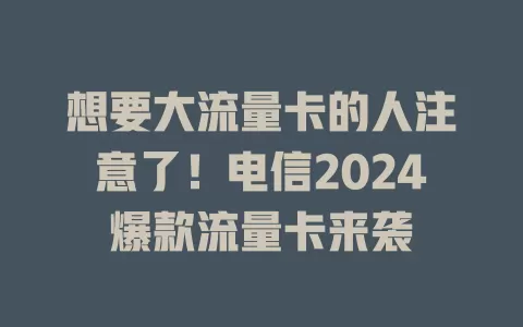 想要大流量卡的人注意了！电信2024爆款流量卡来袭