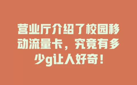 营业厅介绍了校园移动流量卡，究竟有多少g让人好奇！