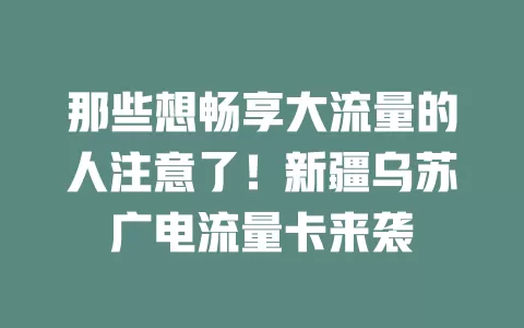 那些想畅享大流量的人注意了！新疆乌苏广电流量卡来袭